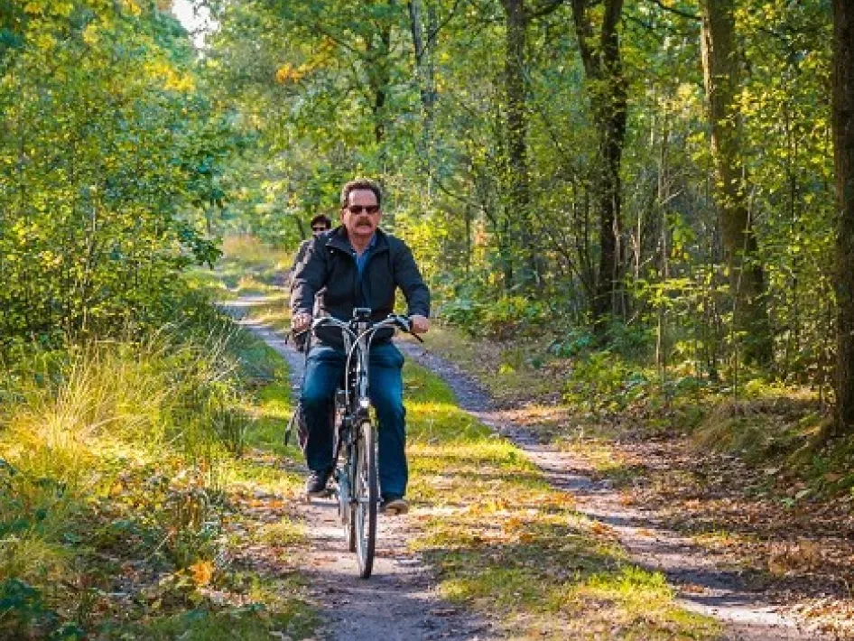 Fietser in het bos in Swalmen