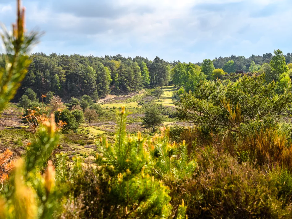Grenzpark Maas-Schwalm-Nette