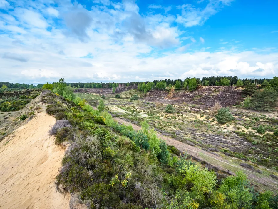 Grenzpark Maas-Schwalm-Nette
