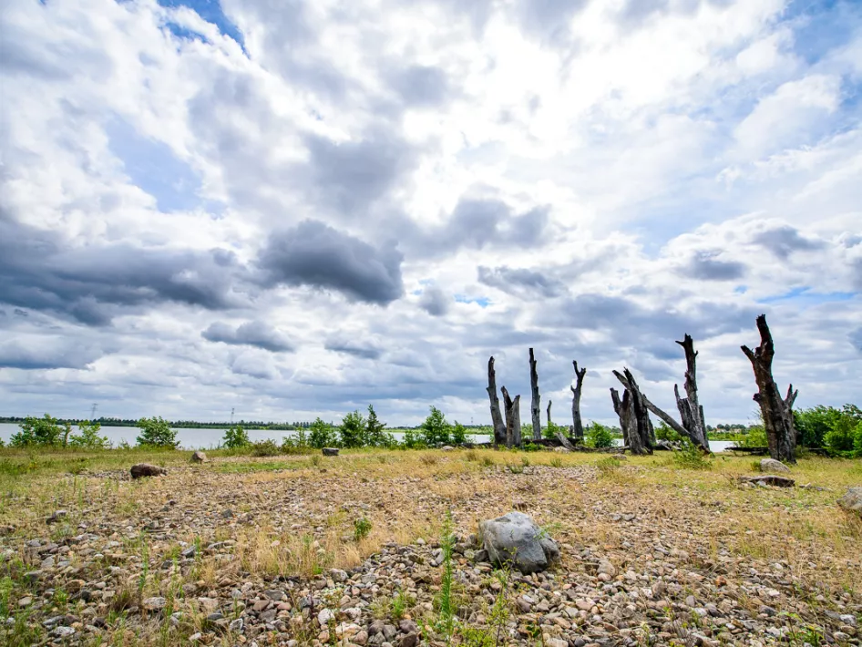 Grenzpark Maas-Schwalm-Nette