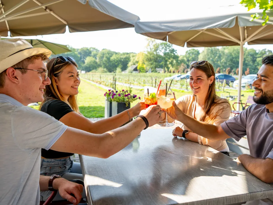 Vier samen het najaar tijdens Preuf ut Naojaor – vrienden proosten met een drankje op een terras in Midden-Limburg.