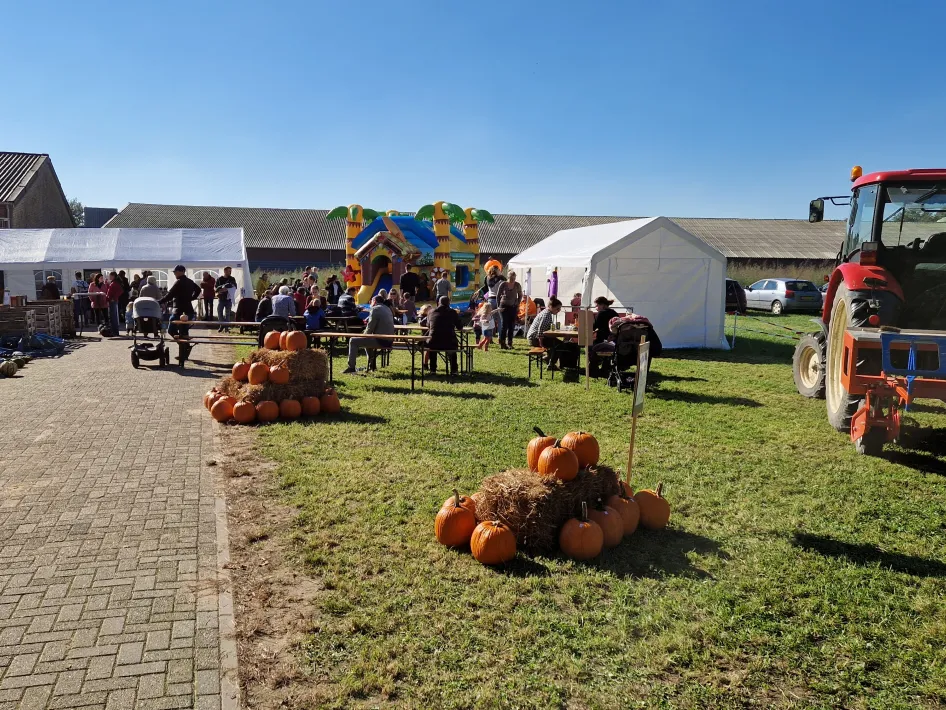 Diverse activiteiten op de boerderij en uitgestalde pompoenen.