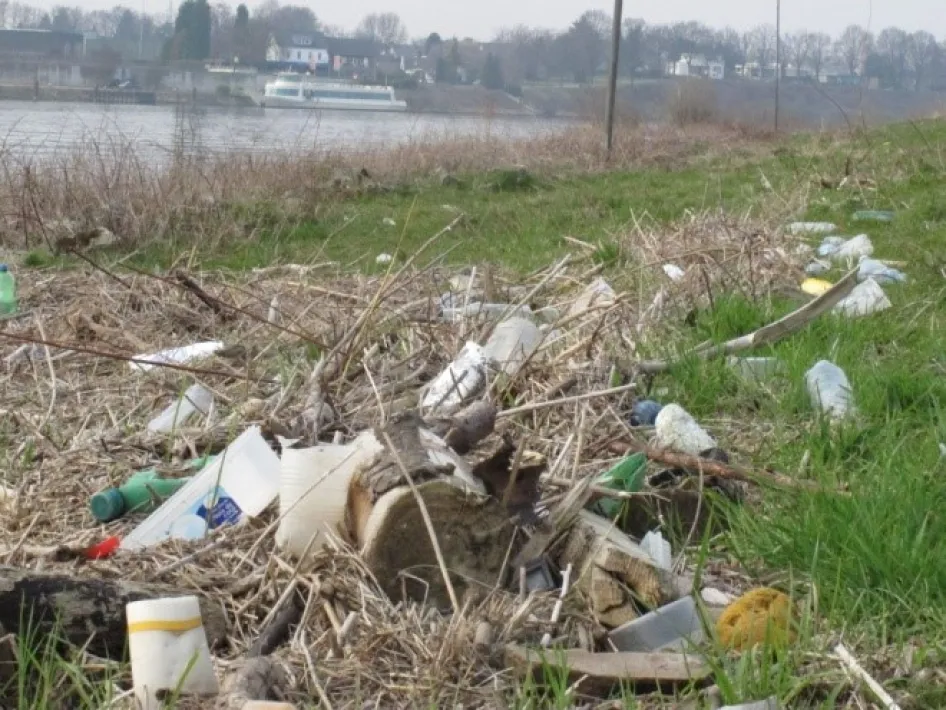 Zwerfafval en plastic afval liggevoor de opschoonactie maas met op de achtergrond een passerend schip.