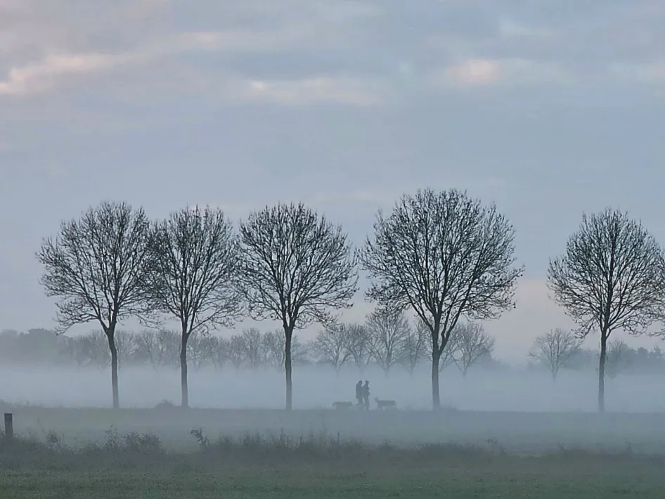 wandelen in winterslandschap