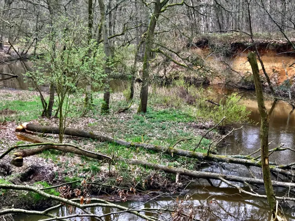natuur - wandeling Leudal