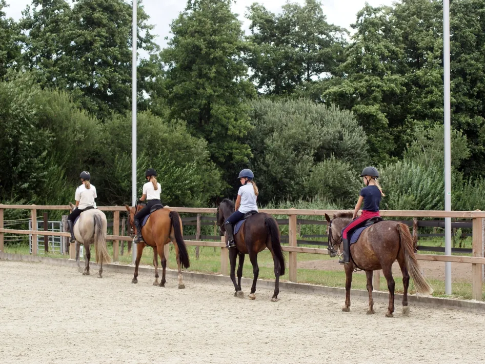 Caprilli paardrijden buitenbak