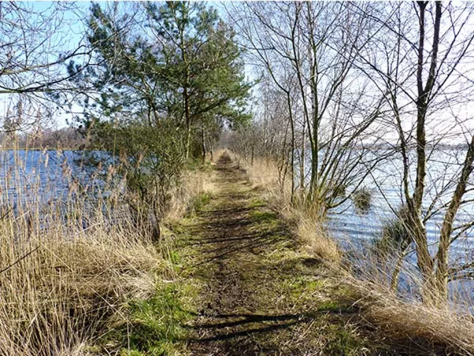 Hiking trial de Groote Peel