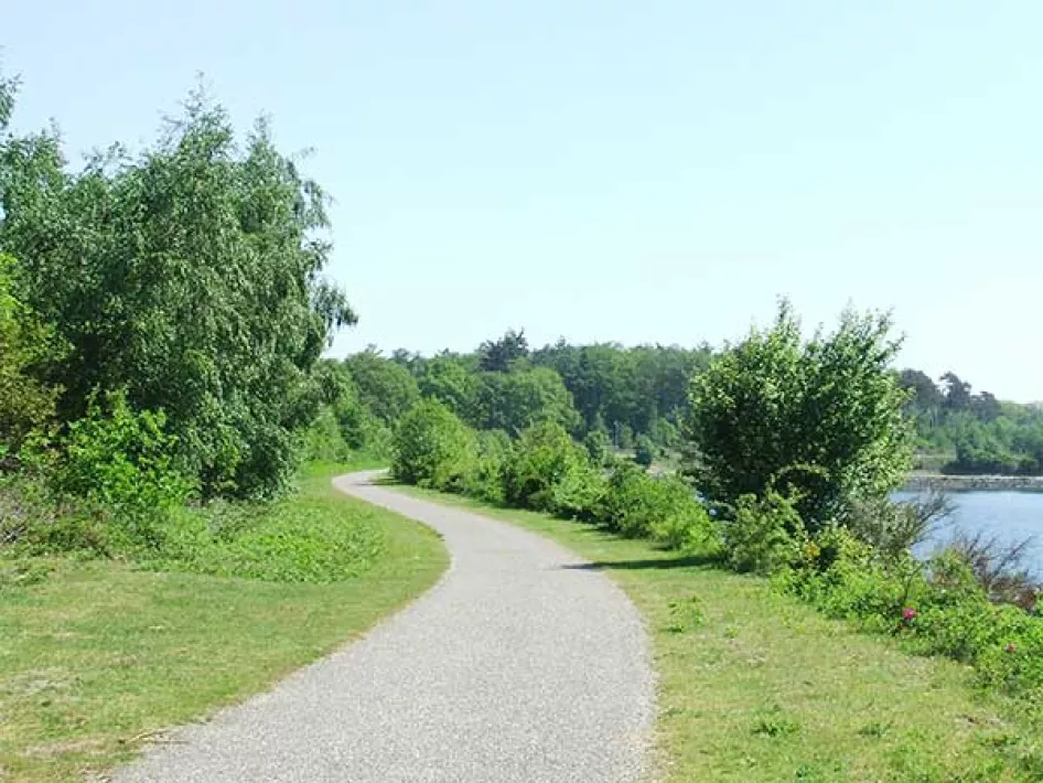 Wandelpad De lange Vlieter
