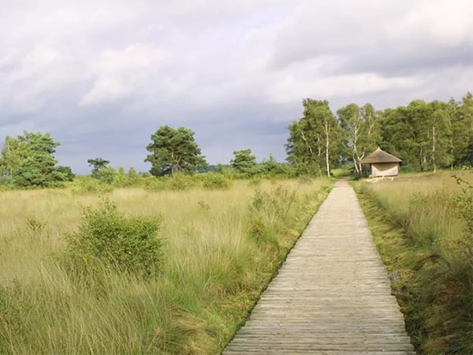 Hiking trial de Groote Peel