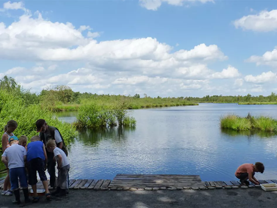 Children's excursion