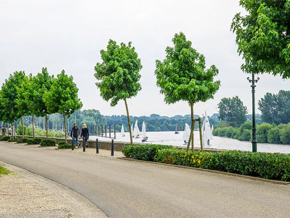 Fietsen bij Asseltse plassen