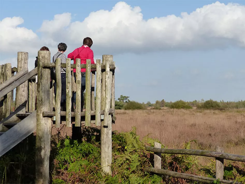 Lookout tower de Groote Peel