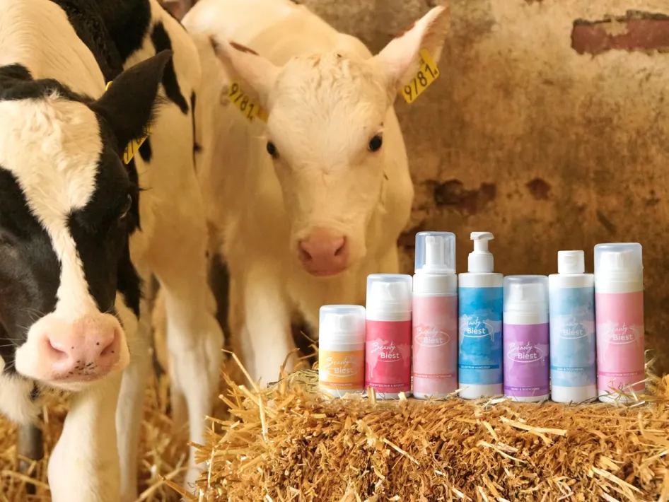 Zwei Kälber im Stall mit Pflegeprodukten aus der Beauty with Biest-Linie auf einem Strohballen im Vordergrund.
