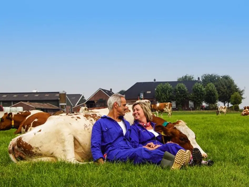 Der Bauer und die Bäuerin sitzen im Gras zwischen den Kühen und schauen sich lächelnd auf dem Hof ihrer Farm an.