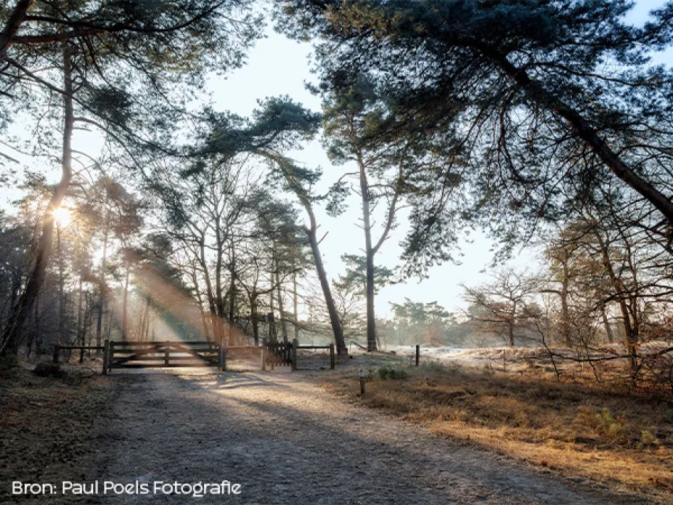 Archeo fietsroute Venray - Oostlus