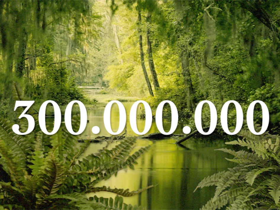 Archeo Route Limburg Kerkrade - Een domaniale vondst