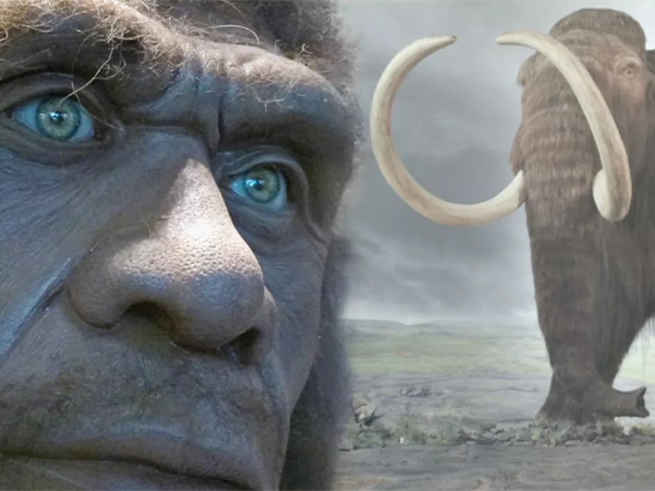 Archaeological site Kerkrade - A domanial find 