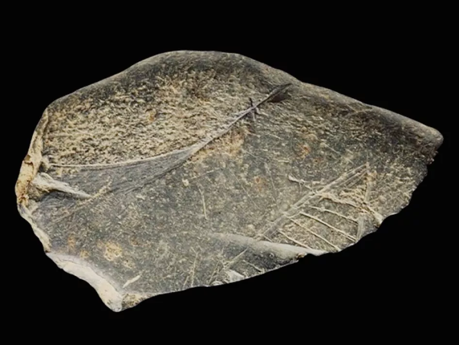 Archaeological site Sint Odiliënberg - The earliest Dutch drawing