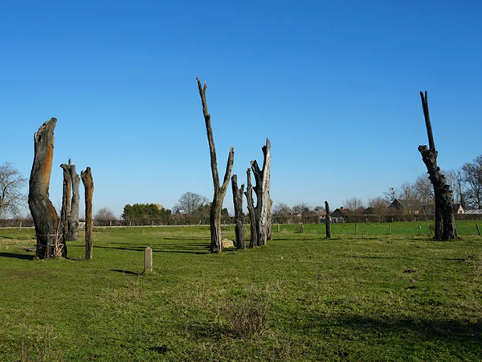 Archäologischer Radroute Stein