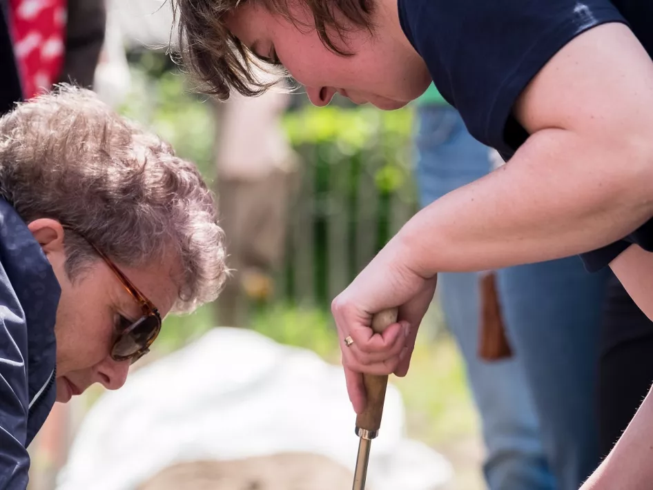 Cutting asparagus yourself during a guided tour