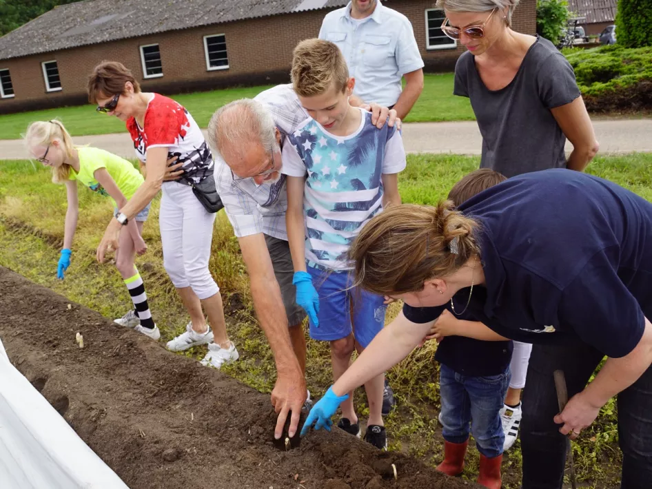 Group of people picking asparagus at Asparagus Farm Oppe Haes