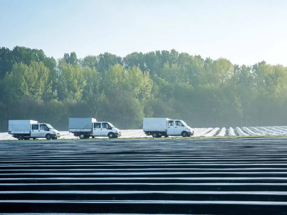 Asperges en Molens Weert-Nederweert