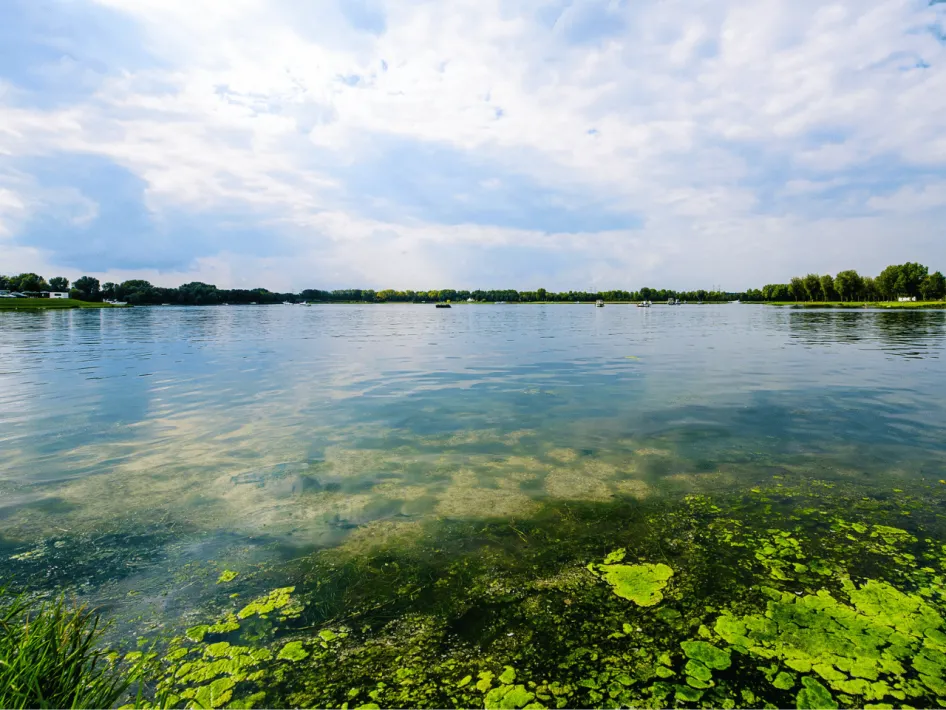 fietsrondje: B&B Katoo