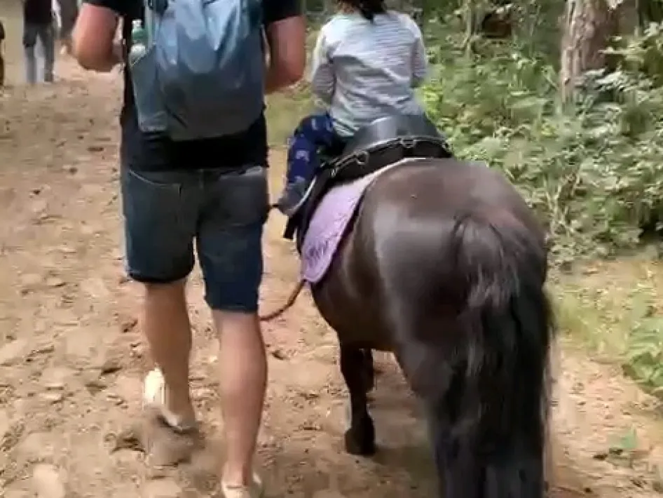 een kind rijdt op een pony over een zandpad. een volwassene loopt naast het kind.