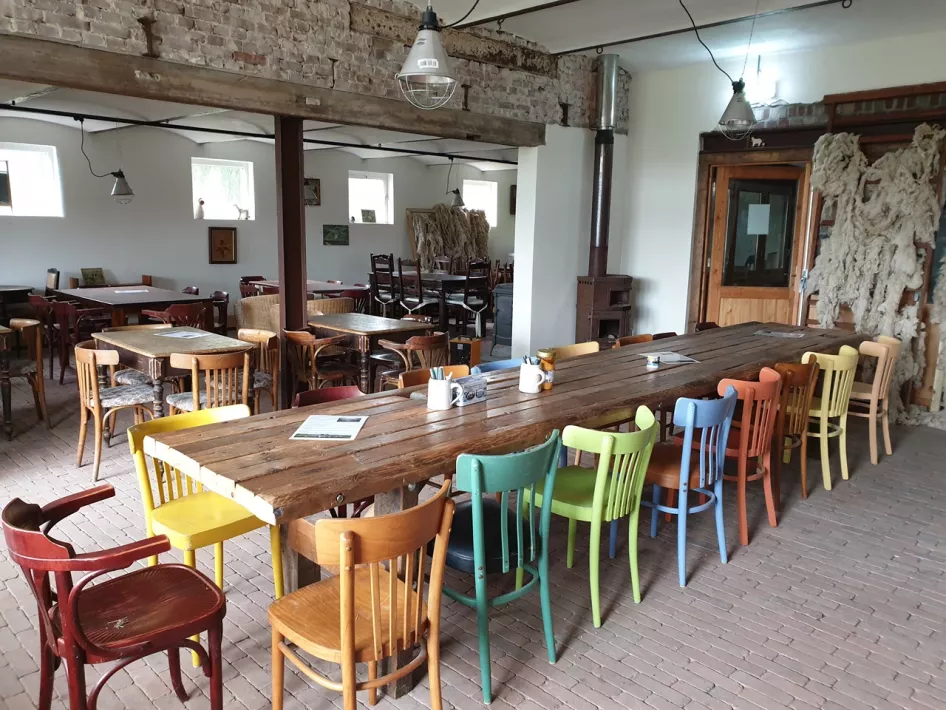 Gezellige eetzaal in de Beatrixhoeve met een lange houten tafel en kleurrijke stoelen, waar bezoekers kunnen genieten van koffie, thee en Limburgse vlaai.