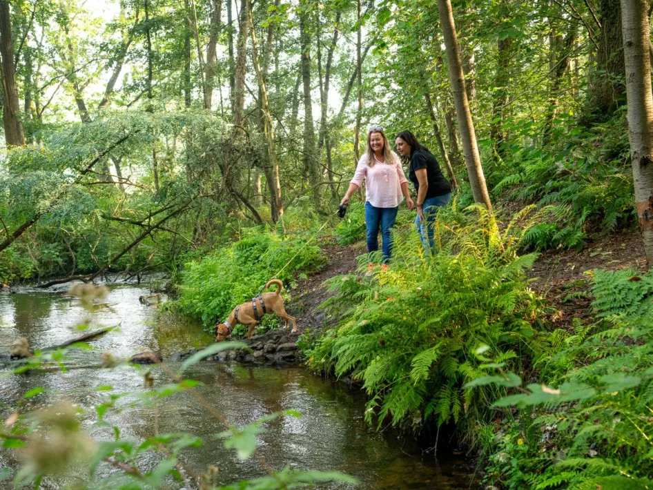 Two women walk a dog along a stream in a green wooded area.