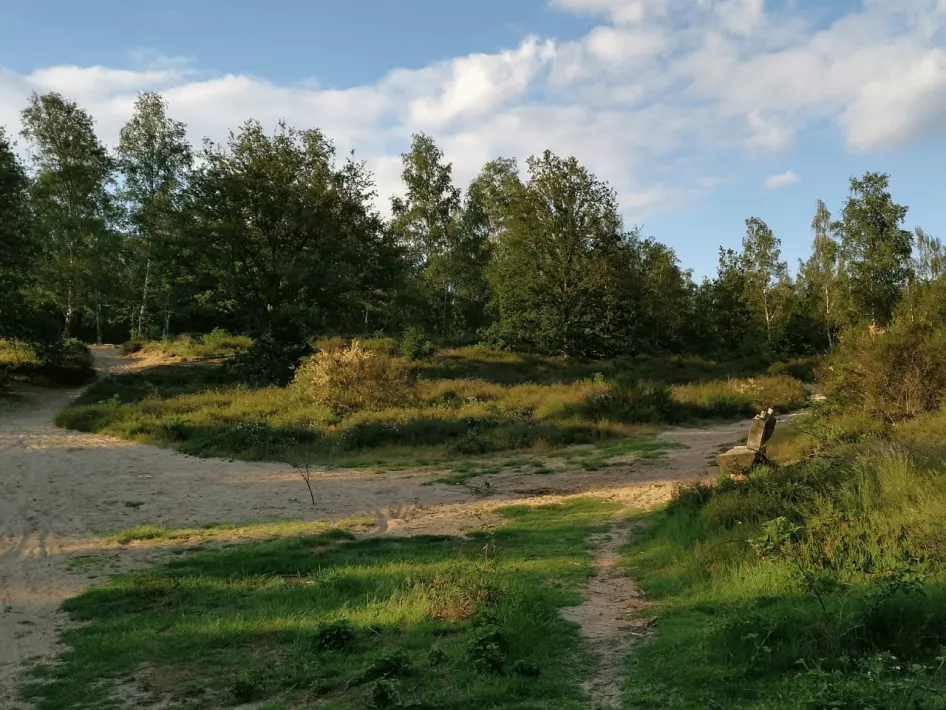 Natuur en oude cultuur in Montfort