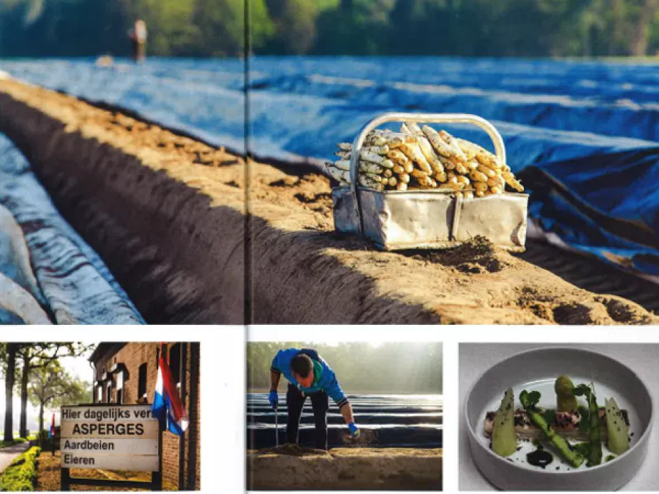 Artikel Bike Explorer