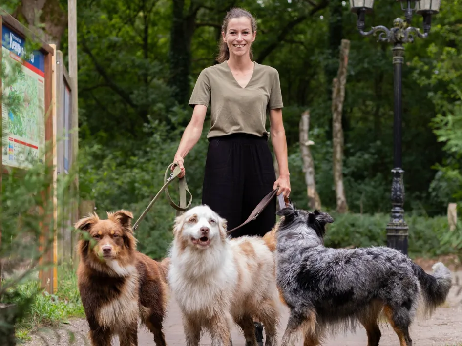 Woman walking three dogs on a forest path near Boshuys Nieuw Vosseven, with trees, a route sign and lampposts along the path