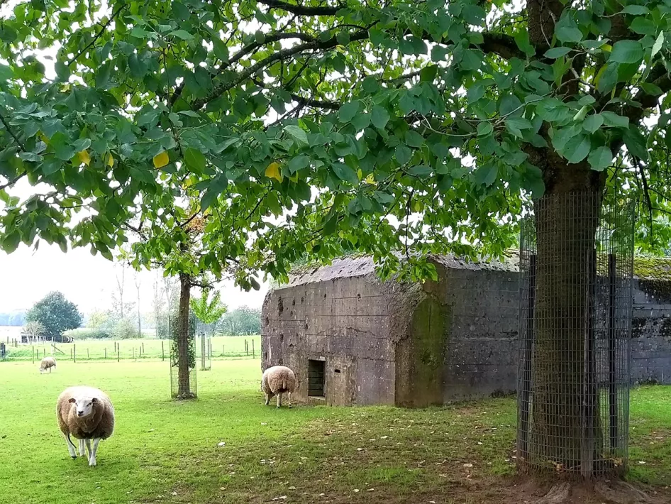 Biketour Grenzgeschichte Roerdalen - Battles