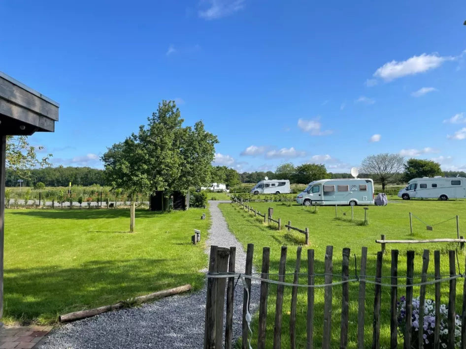 Doorkijkje naar de camperplaats met een grindpad en een houten hek, waar verschillende campers op een grasveld staan.