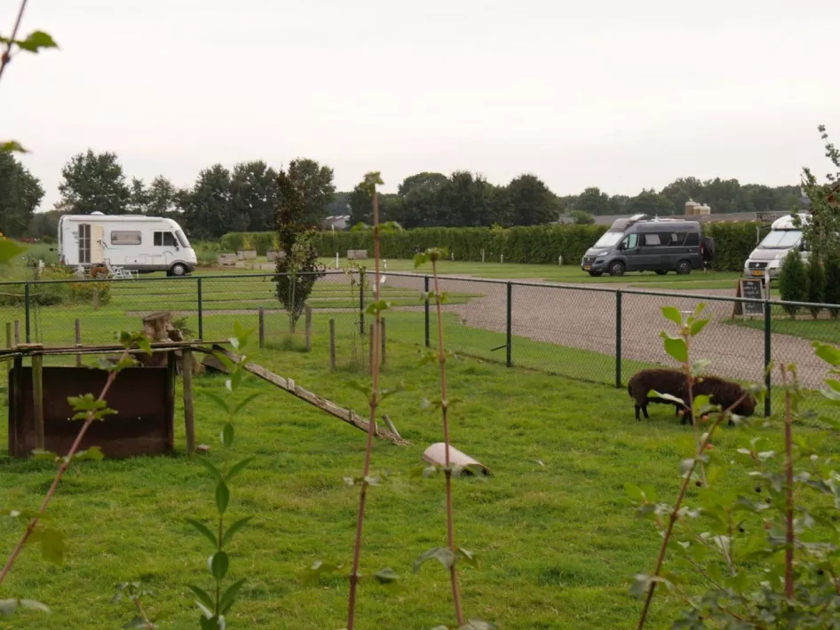 Camperplaats Onder en Eindt Helden 