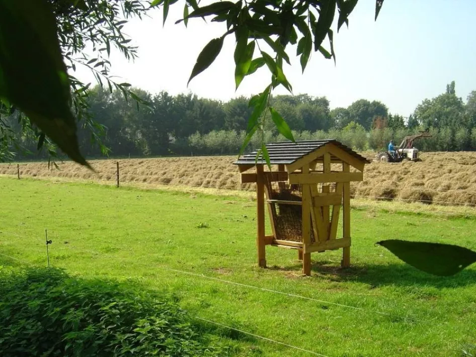 De voedercontructie staat op het weiland bij camping DenTiel