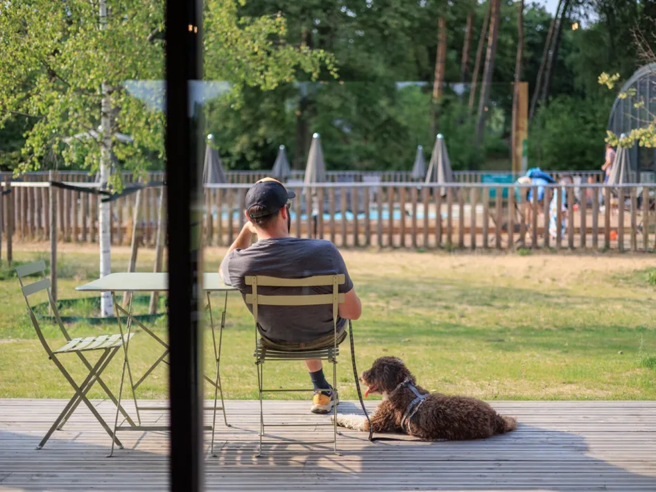 Man sitting on the terrace with his dog at his feet, view of the swimming pool