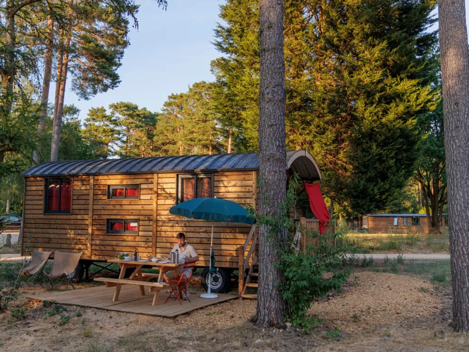 Wooden gypsy wagon with parasol and seating area in the shade of tall trees
