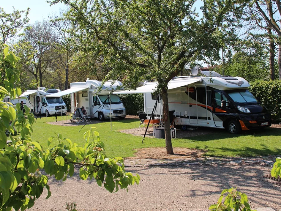 Camper auf dem Rasen des Campingplatzes De Sangershoeve
