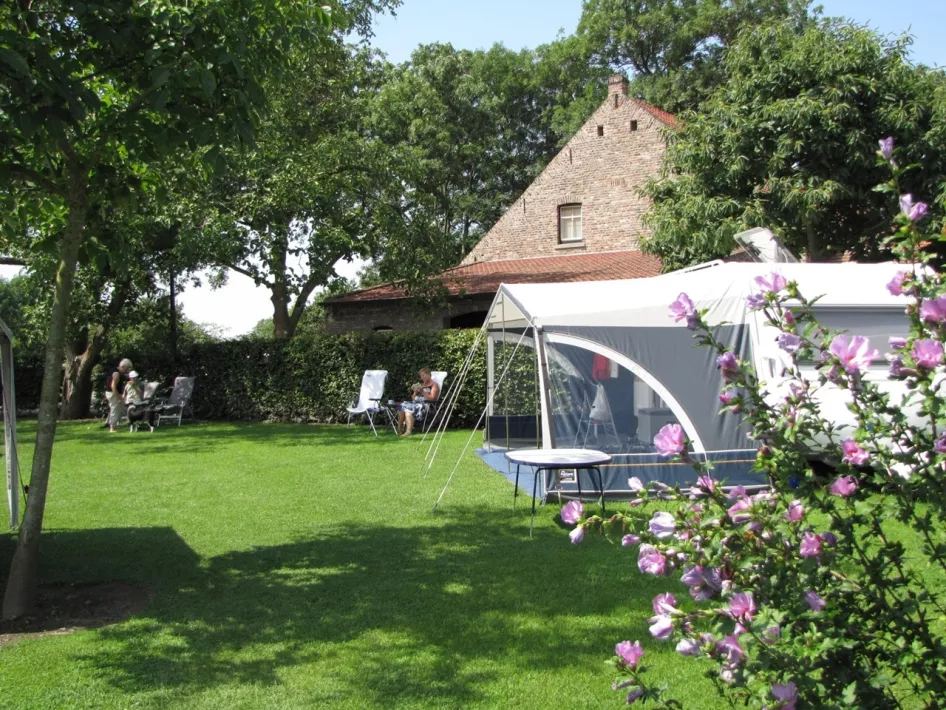 Campers in het grasveld van Camping De Sangershoeve