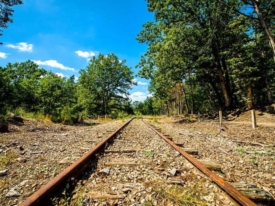 Tijdens de cultuurwandeling in de Meinweg kom je ook langs de befaamde IJzeren Rijn
