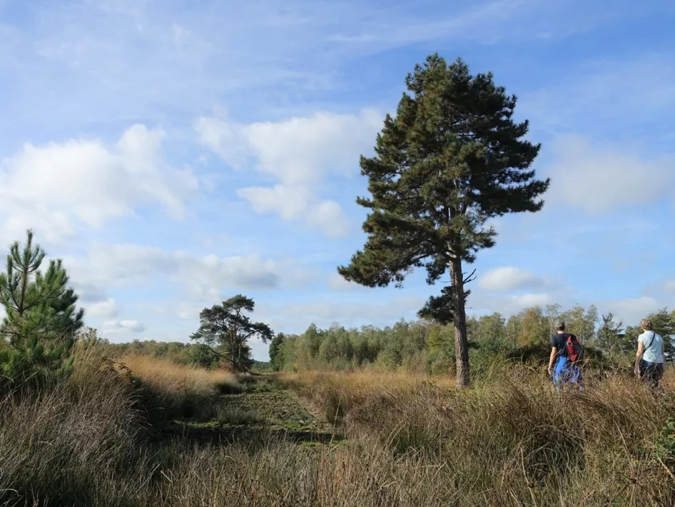 Twee personen zijn aan het dauwtrappen in Nationaal Park De Groote Peel