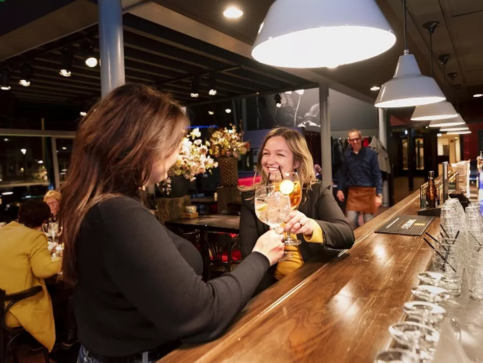 Dames aan de bar bij de Artiest