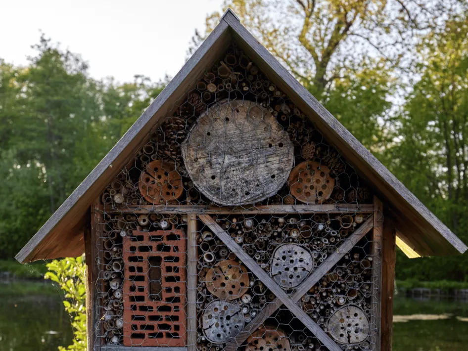 De Boer Op - Dorpen en buitengebied bijenhotel