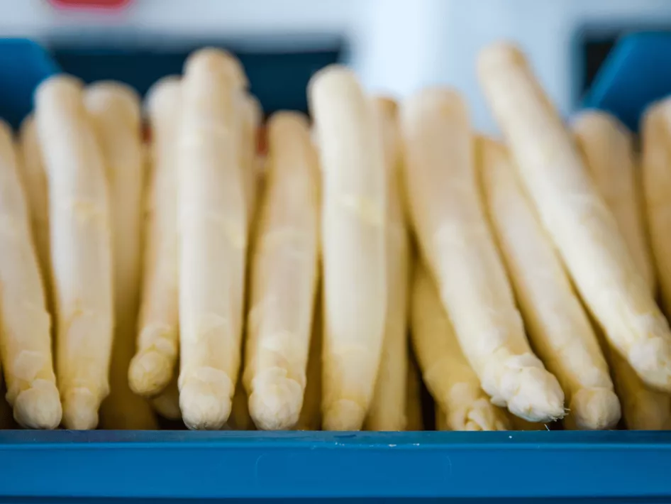 De Boer Op - Langs de oevers asperges