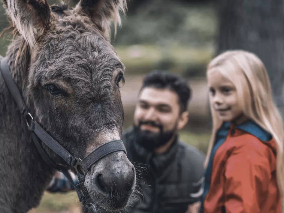 De Boer Op- Leudal - zorgboerderij Rondmeer