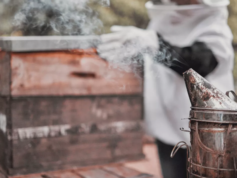 De Boer Op: Langs Beken en Hei imker