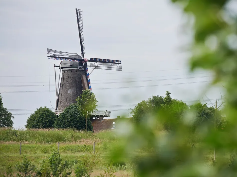 Die Hompesche Molen in der Landschaft mit Blick auf die Mühle zwischen Grünflächen und offenem Feld