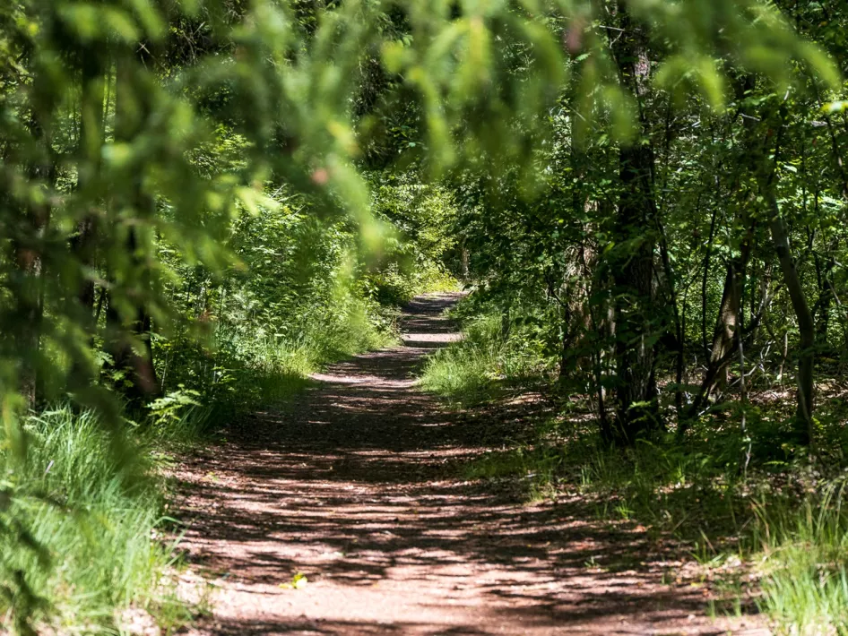 Der Wanderweg IJzeren Man - Wanderroute braun